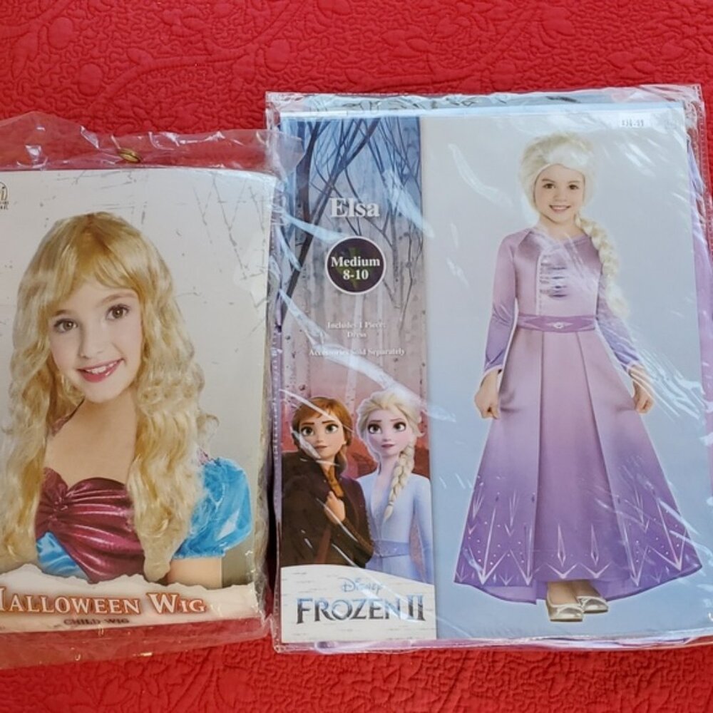 Elsa frozen II dress costume Medium 8 to 10 plus blond wig